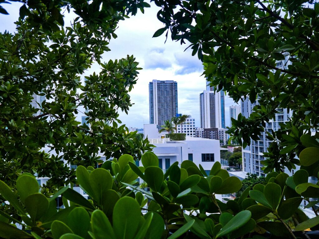 a view of a city through some trees