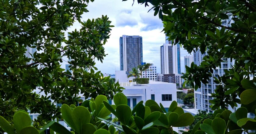 Miami International Mall Celebrates Earth Month with Sustainable Fashion Exhibit